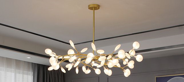 collection-banner-image