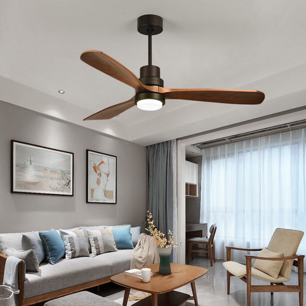 Ceiling fans