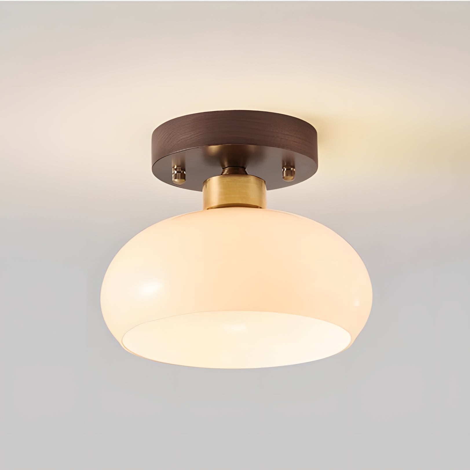 Otis Minimalist Low Dome Glass Ceiling Light 11.webp__PID:eccfbf2a-934a-40d1-ae31-19c5111dd148