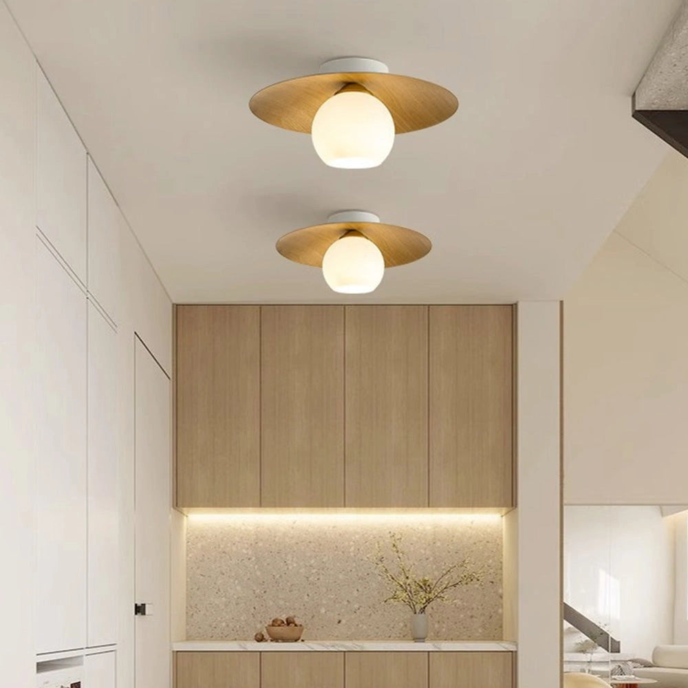 Modern Glass Globe Ceiling Light (16).webp__PID:bfa51928-d591-4505-bd66-ba30d04220f1