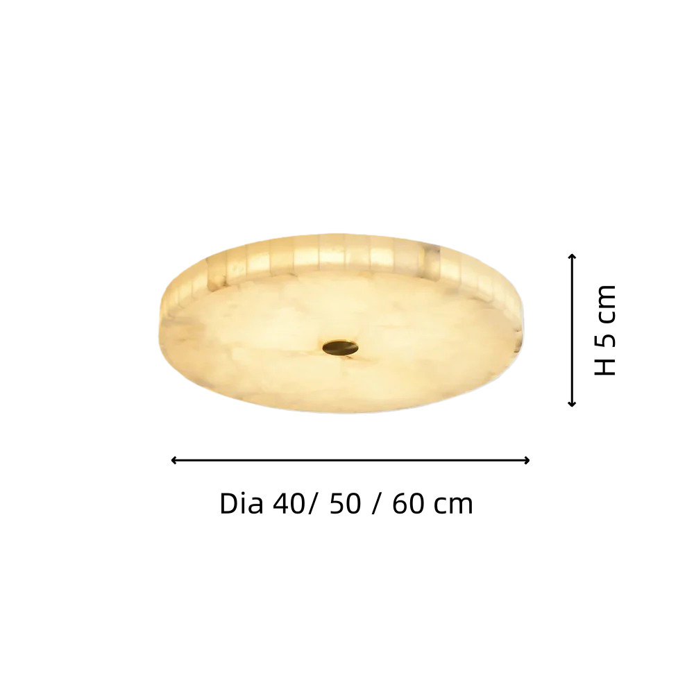 imgi_41_RM020.png__PID:23f17320-c0cc-478e-a611-5e34240cefab