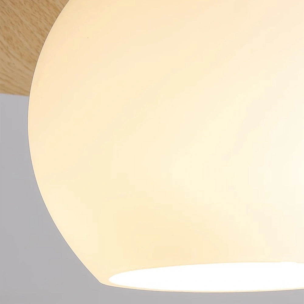 Modern Glass Globe Ceiling Light (10).webp__PID:33dbb832-1646-4c14-9aaa-7c72d25a4700