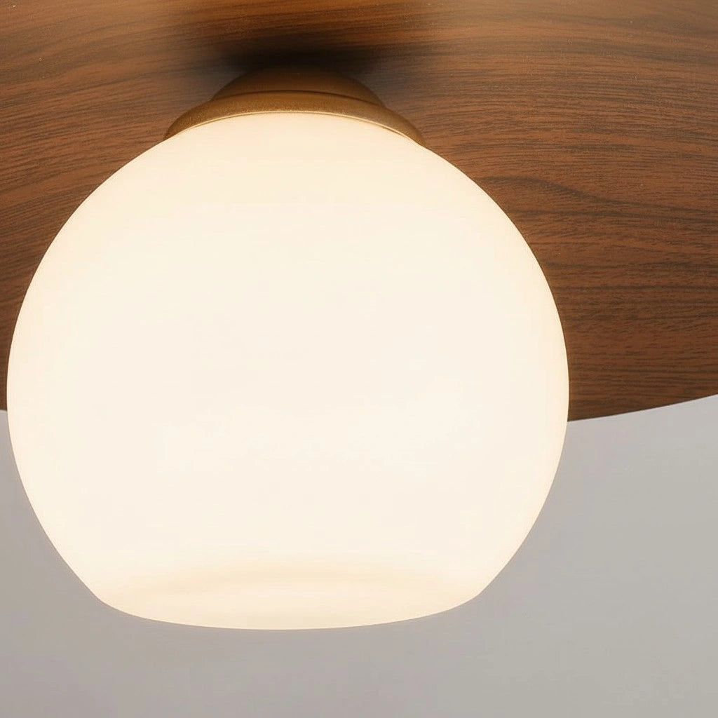 Modern Glass Globe Ceiling Light (20).webp__PID:ba2f928a-9ff3-4f6b-8e25-42d6f71fc5e3