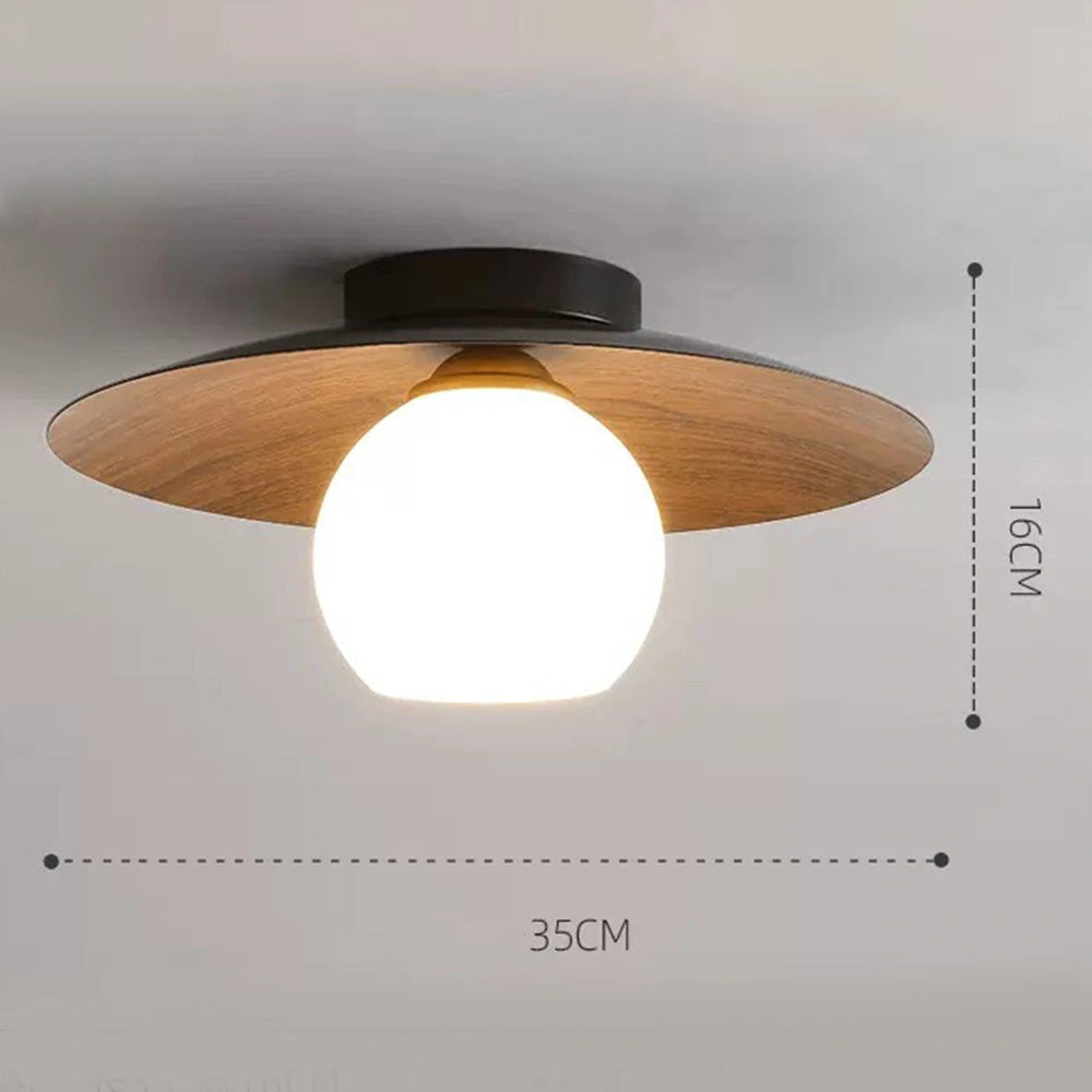 Modern Glass Globe Ceiling Light (8).webp__PID:204c6bd8-0454-4cb7-974a-62199b6ac4af