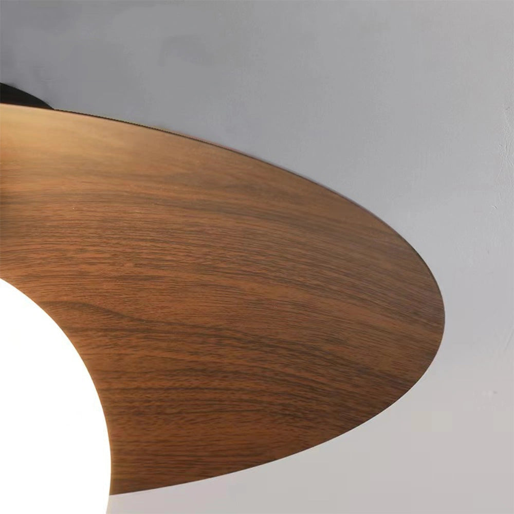 Modern Glass Globe Ceiling Light (9).webp__PID:f6ba2f92-8a9f-433f-ab4e-2542d6f71fc5