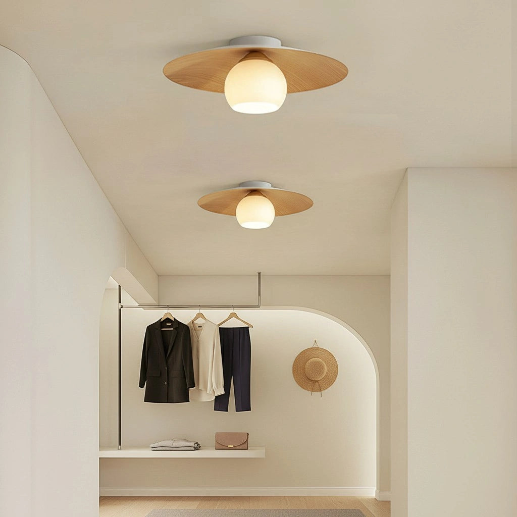 Modern Glass Globe Ceiling Light (24).webp__PID:71a53060-74e4-4f99-91bb-ac4d25ff60cb
