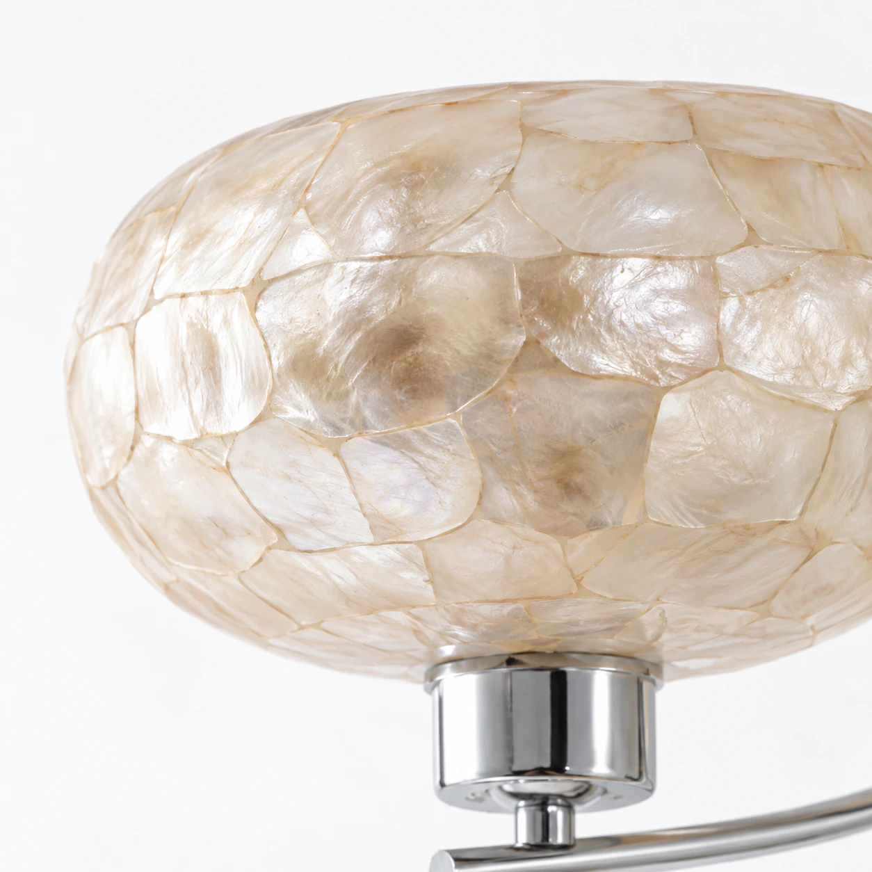 Close photograph of a natural white shell shade and its pearlescent mosaic