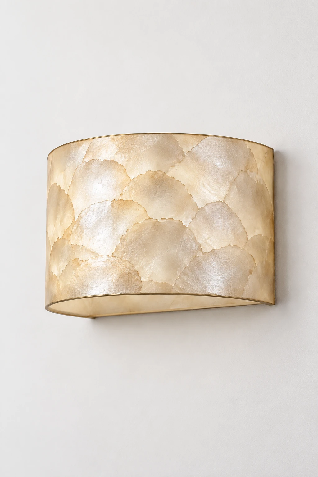 Complete Aveline natural shell half-dome wall sconce on a neutral studio wall